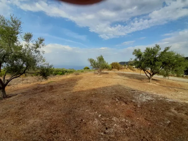 Great positioned land plot - Akrata, Achaïa, Peloponnese