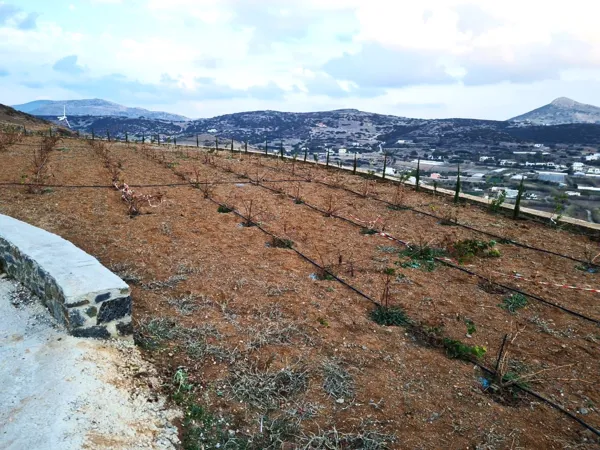 Holiday home enjoying beautiful sea views  - Syros, Syros, Cyclades Islands