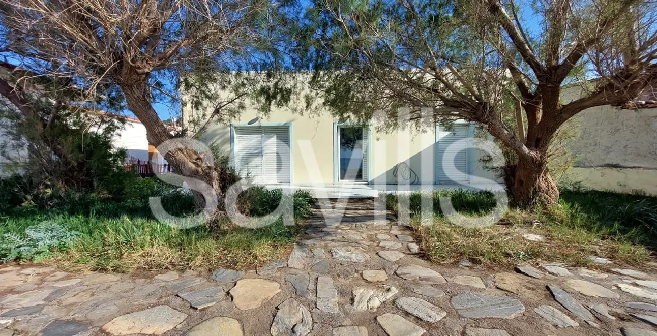 property asset