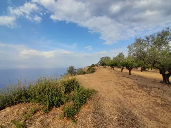 Great positioned land plot - Akrata, Achaïa, Peloponnese