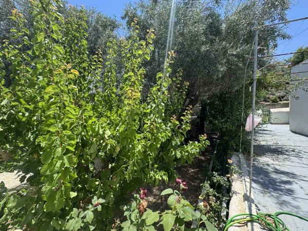 Exceptional property in the heart of Spetses - Spetses, Spetses, Saronic Islands