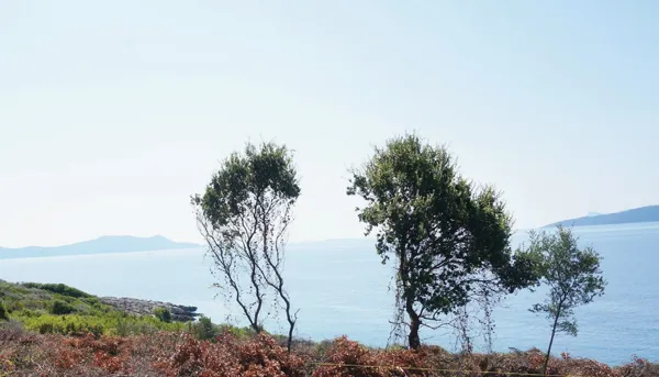 Seaside plot with breathtaking view of the Ionian Sea  - Meganissi, Meganissi, Ionian Islands
