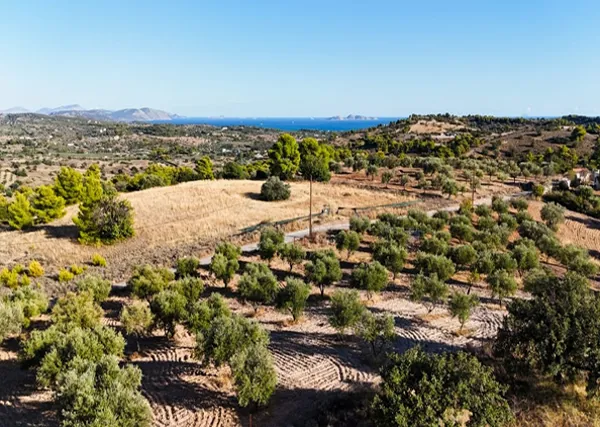 Unique Land Plot with residential permit for a Villa : An Investment & Development Opportunity -  Kranidi, Porto Heli, Peloponnese