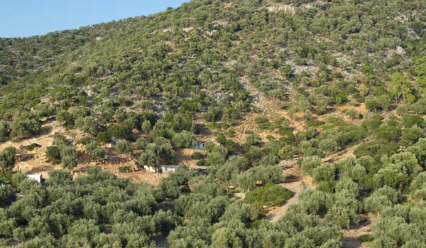 Great located plot close to the beach - Alonnisos, Sporades Islands
