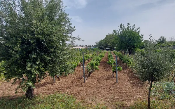 Villa, and adjoining plot for additional villa, nested on a green environment in the north suburb of Adames - Kifisia, Attica