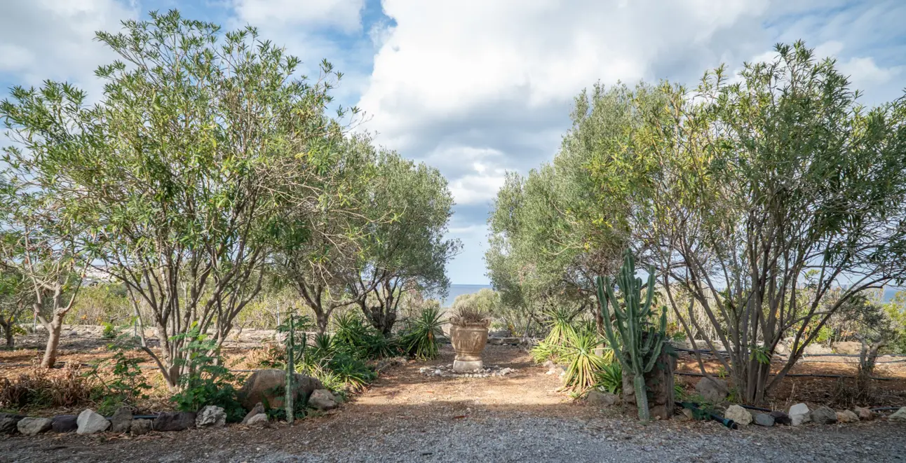 property asset