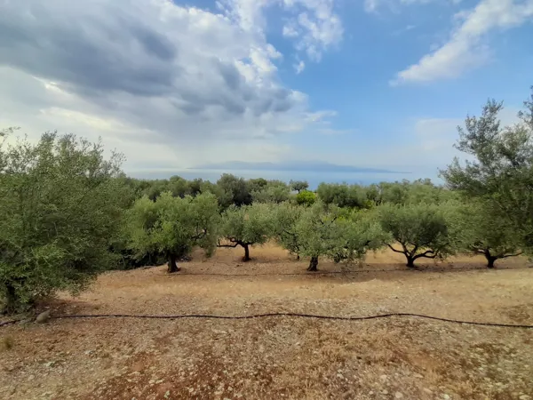 Great positioned land plot - Akrata, Achaïa, Peloponnese