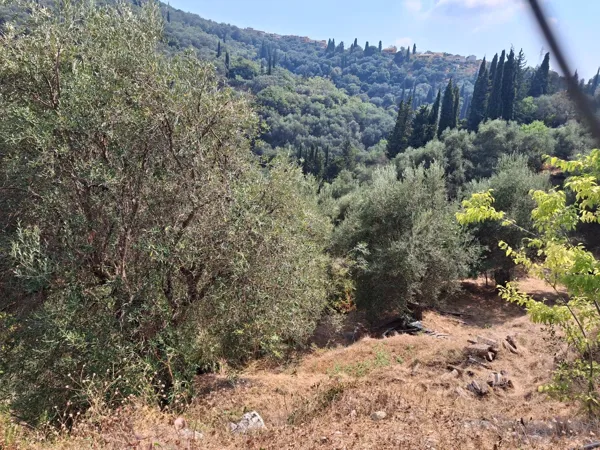 Land plot with panoramic sea view  - Benitses, Corfu, Ionian Islands