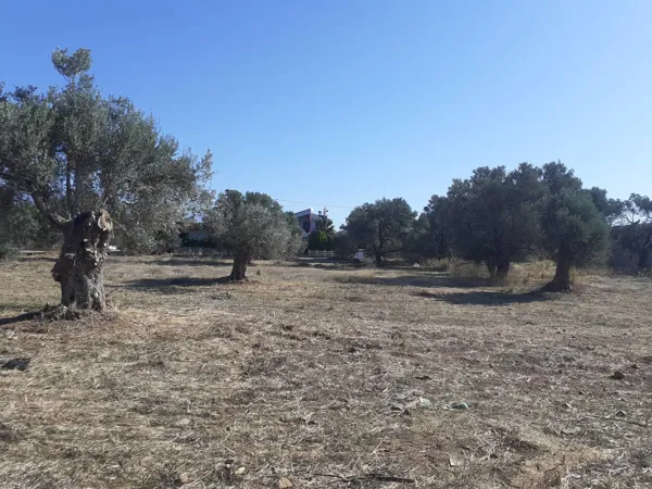 Development Plot - Tympaki, Heraklion, Crete