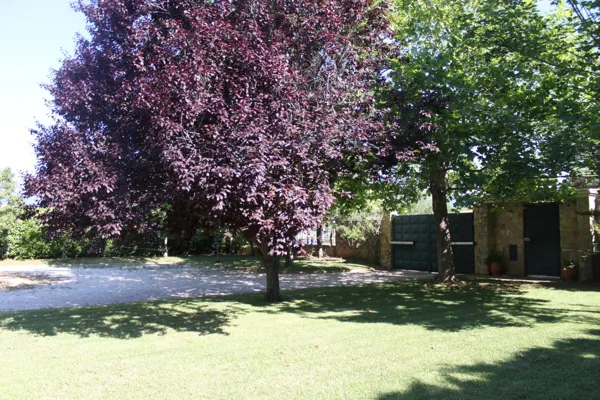 Villa, and adjoining plot for additional villa, nested on a green environment in the north suburb of Adames - Kifisia, Attica