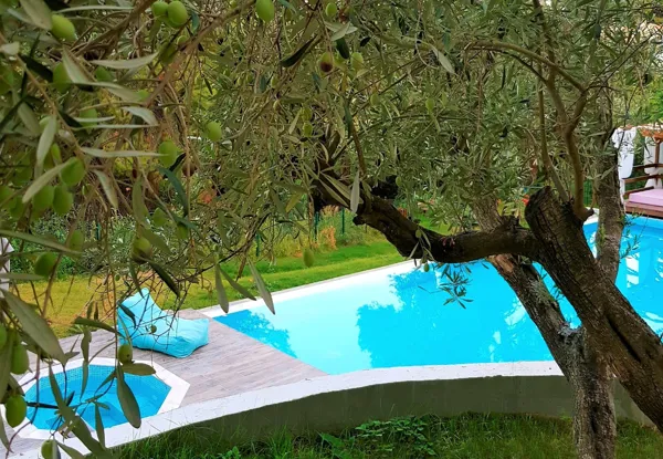 Great positioned hotel in Halkidiki - Kryopigi, Kassandra, Halkidiki