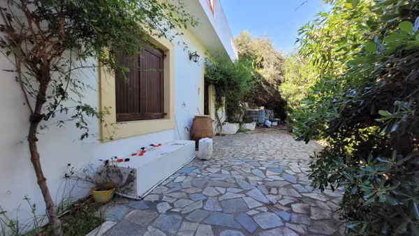 Olive Estate & Development Opportunity - Heraklion, Heraklion, Crete