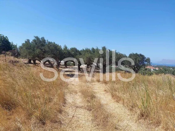 Plot in Kissamos, Crete - Platanos , Chania, Crete