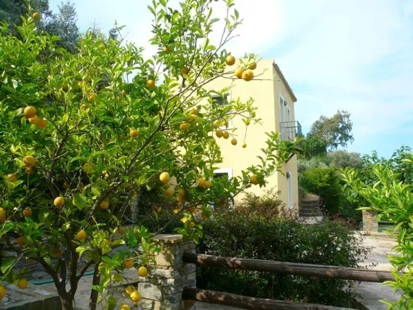 Renovated mansion with breath-taking views - Apoikia, Andros, Cyclades Islands