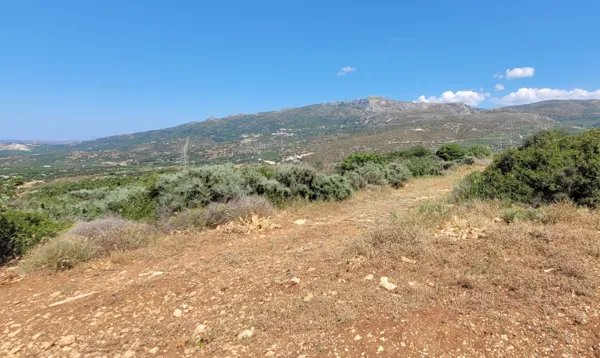 Land with Sea Views - Siteia, Lasithi, Crete