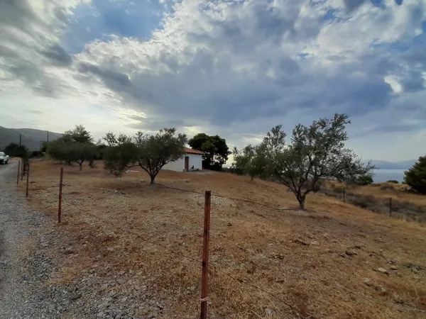 Great positioned land plot - Akrata, Achaïa, Peloponnese