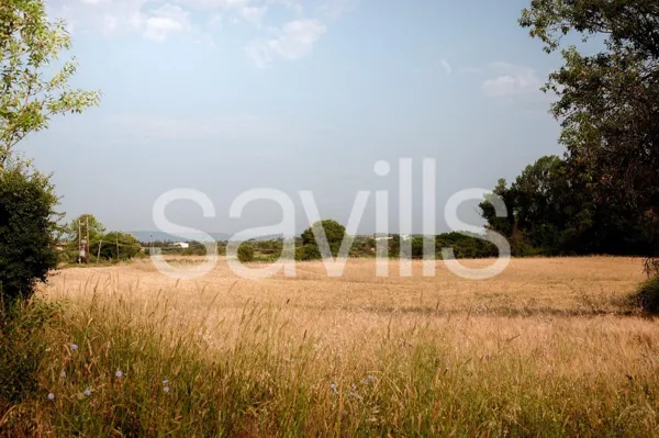 Land plots next to the beach - Kitros, Pieria, Central Macedonia