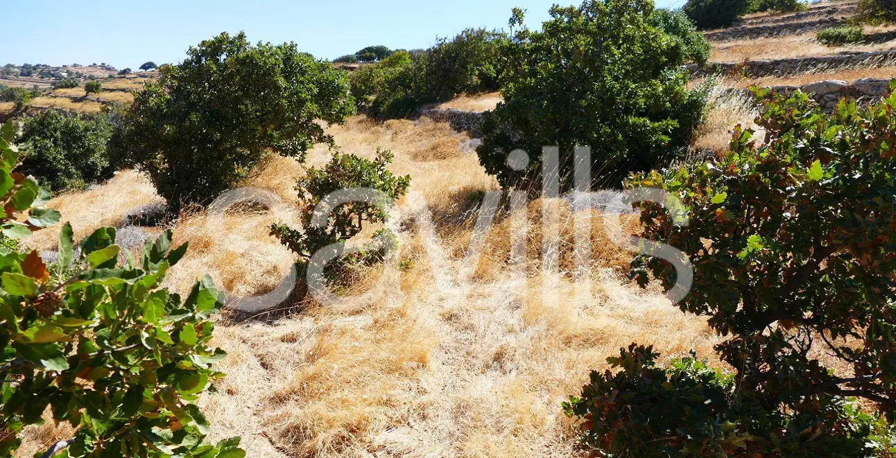 property asset