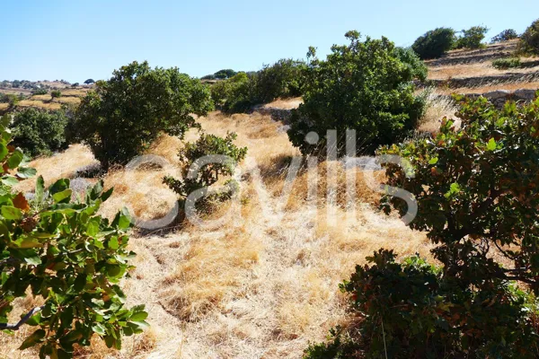 Buildable land plot overlooking Korissia bay in Kea - Kea, Kea, Cyclades Islands