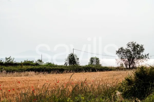 Land plots next to the beach - Kitros, Pieria, Central Macedonia
