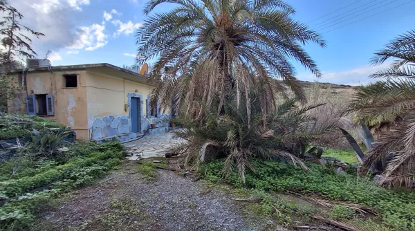 Olive Trees Plot with Small House - Siteia, Lasithi, Crete