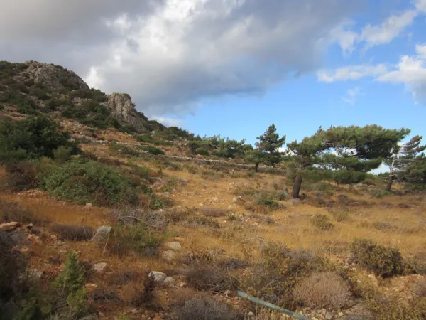 Large land plot in Karpathos - Karpathos, Karpathos, Dodecanese
