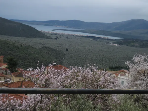 Picturesque villa - Delfoi, Fokida, Central Greece