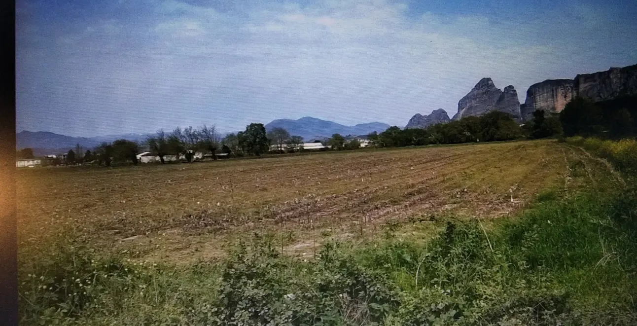 property asset