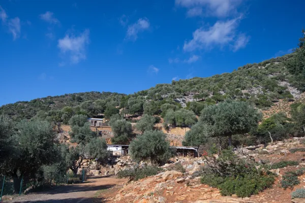 Great located plot close to the beach - Alonnisos, Sporades Islands