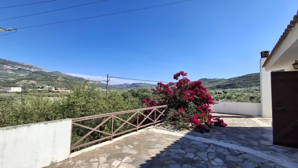 Olive Estate & Development Opportunity - Heraklion, Heraklion, Crete