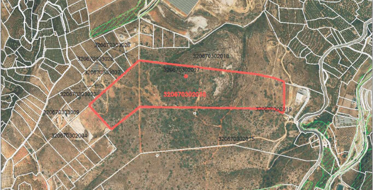 property asset