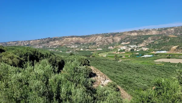 Olive Estate & Development Opportunity - Heraklion, Heraklion, Crete