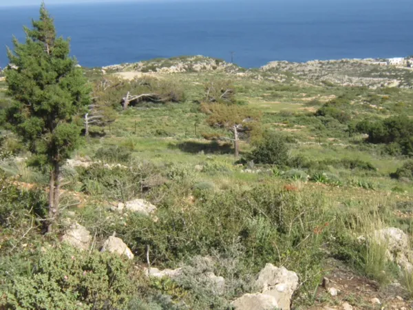 Large land plot in Karpathos - Karpathos, Karpathos, Dodecanese
