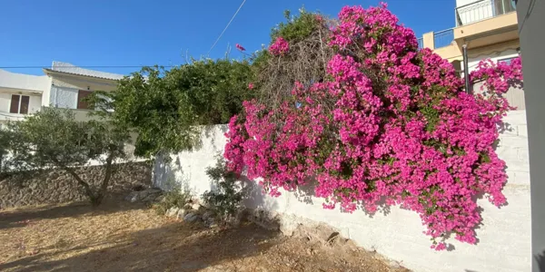 Stunning Sea-View Villa with Panoramic Sunset Views - Aegina , Attica