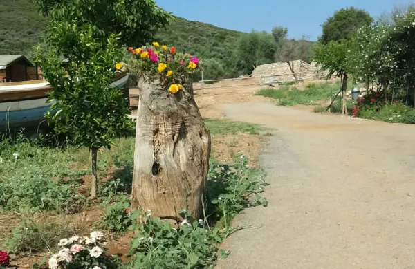 Hilltop paradise estate with amazing panoramic view - Galatas, Trizina, Attica