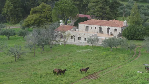 Breath-taking private country estate close to the sea - Epidavros, Argolis, Peloponnese