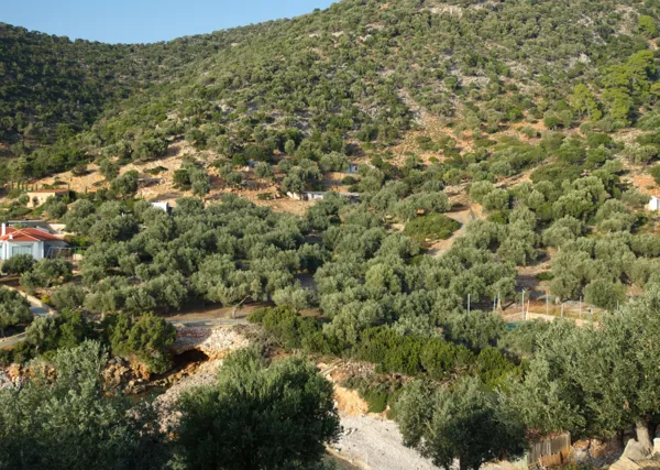 Great located plot close to the beach - Alonnisos, Sporades Islands