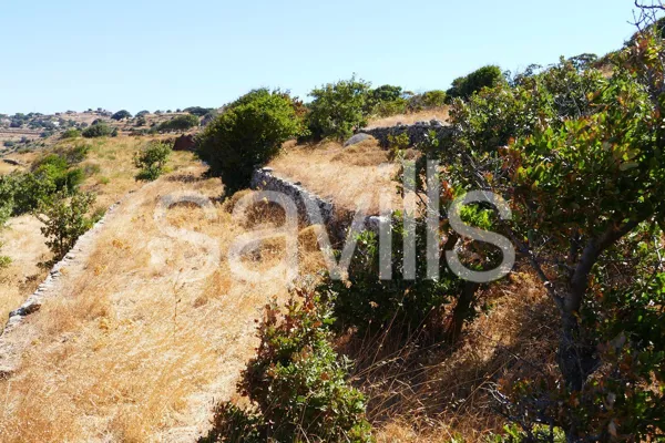 Buildable land plot overlooking Korissia bay in Kea - Kea, Kea, Cyclades Islands