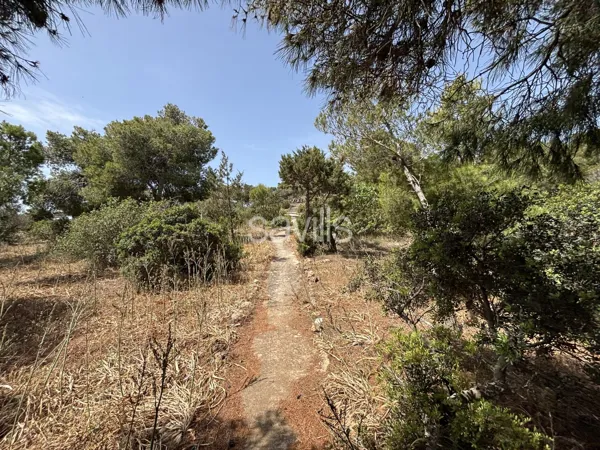 Large-Scale Seaside Opportunity - Sounio, Attica