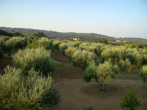 Large villa overlooking the Ionian Islands - Kastro, Kyllini, Peloponnese