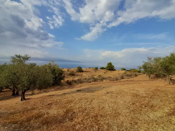 Great positioned land plot - Akrata, Achaïa, Peloponnese