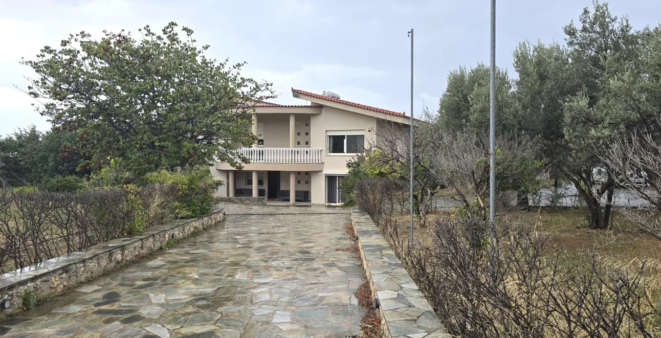 property asset