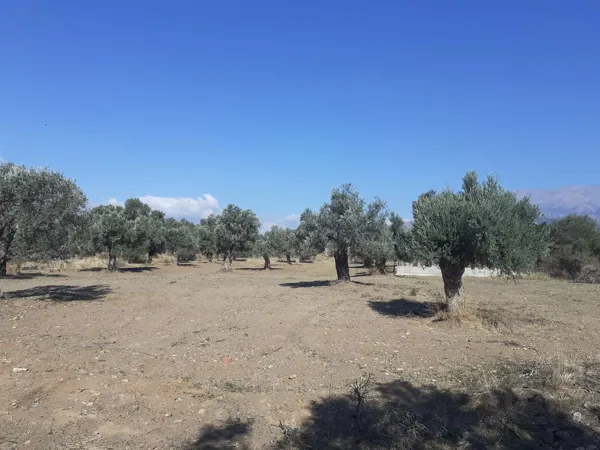 Development Plot - Tympaki, Heraklion, Crete