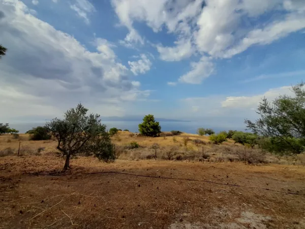 Great positioned land plot - Akrata, Achaïa, Peloponnese