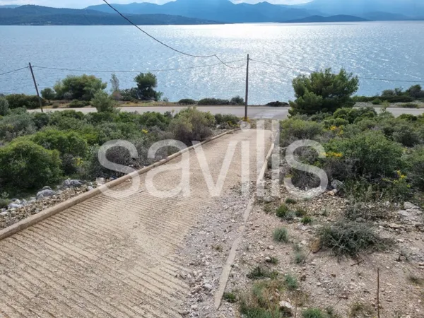 Seaside plot in Theologos - Malesina, Fthiotida, Central Greece