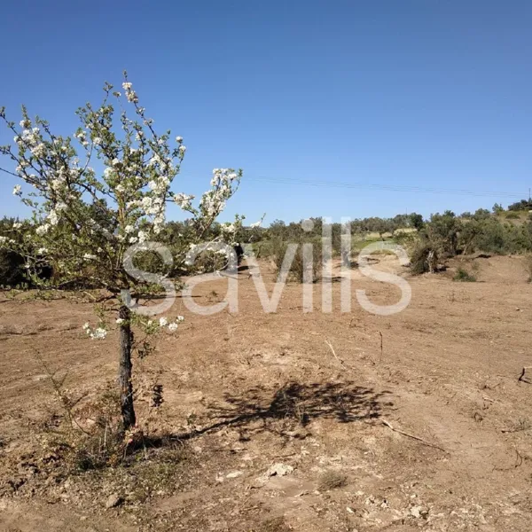 Close to the seashore plot in Krarnidi, Port Heli area - Kranidi, Argolis, Peloponnese