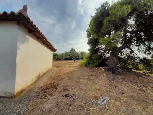 Great positioned land plot - Akrata, Achaïa, Peloponnese