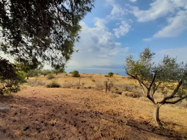 Great positioned land plot - Akrata, Achaïa, Peloponnese