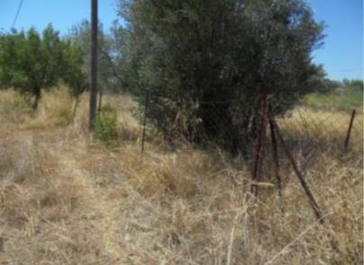 Land plot at Maroussi area