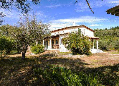 A house nestled in the green